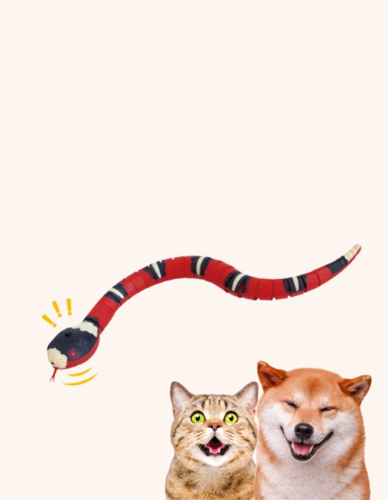 [묘견인생] 강아지 고양이 스마트 뱀 장난감 (컬러랜덤) (스마트뱀장난감(컬러랜덤))