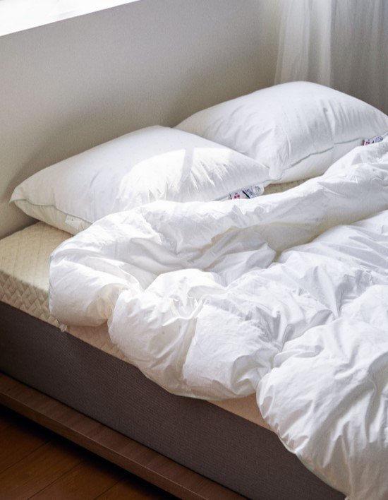 [노르딕슬립] 겨울 퀸 침구 세트 (이불1+베개2) 3종 (택1)