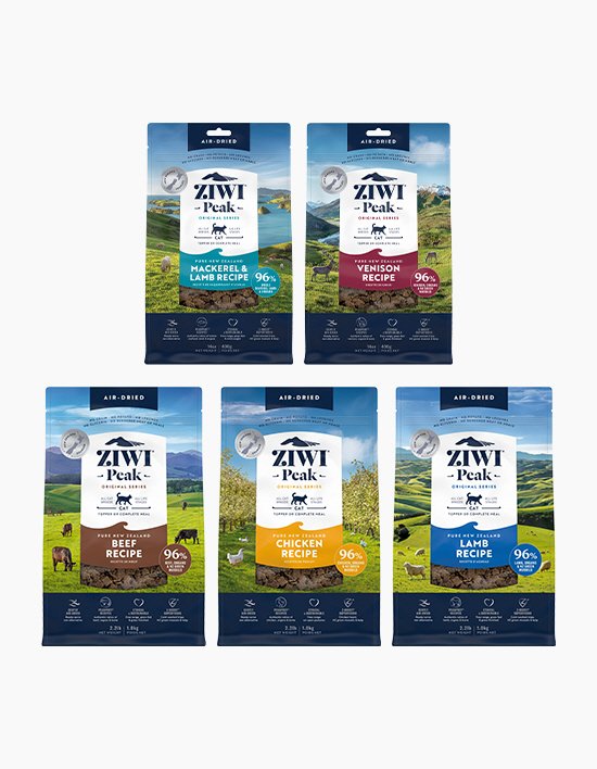 [지위픽] 에어드라이 캣 상품 모음 (택1)