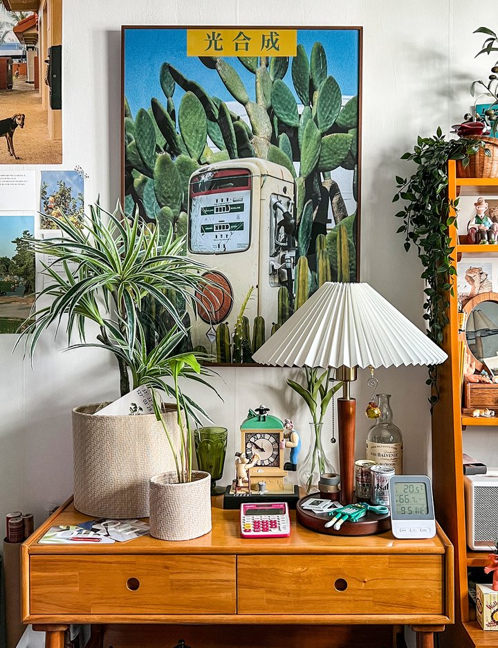 [투오]  RATTAN FLOWER POT COVER 라탄 화분커버 (3SIZE)