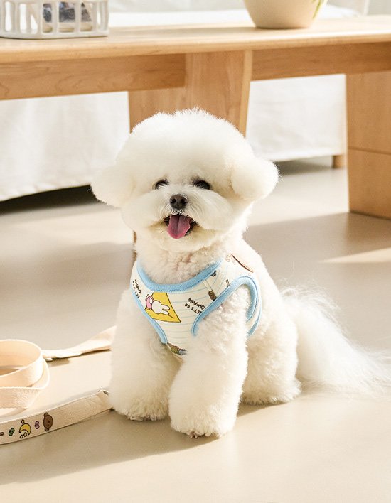 [누우띠] 캠핑 미피 하네스 2종 (택1)