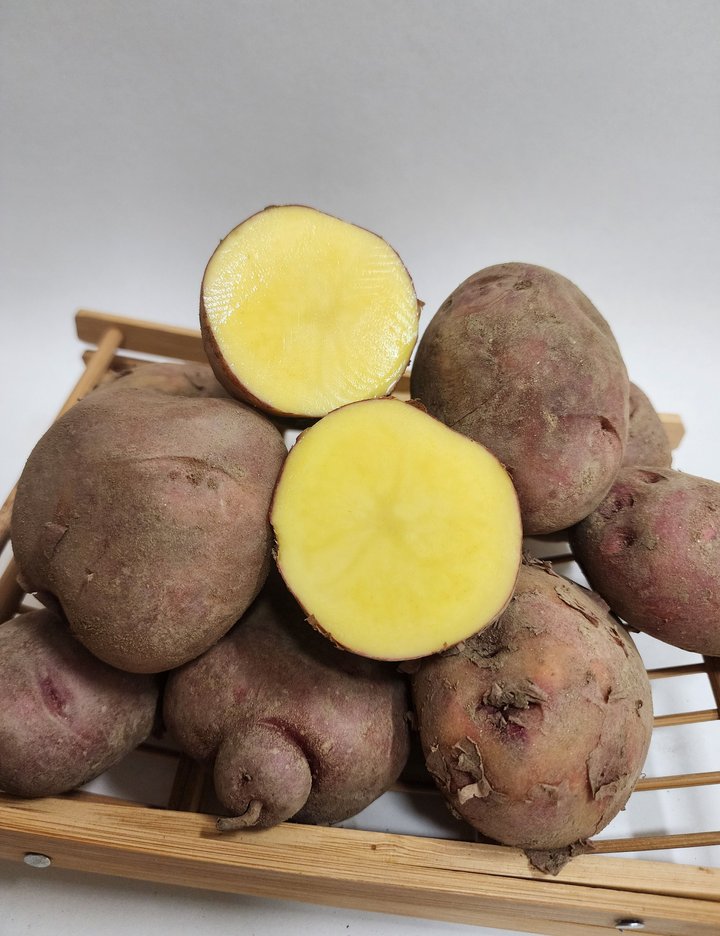 카스텔라 홍감자 5kg (카스텔라 홍감자 5kg)