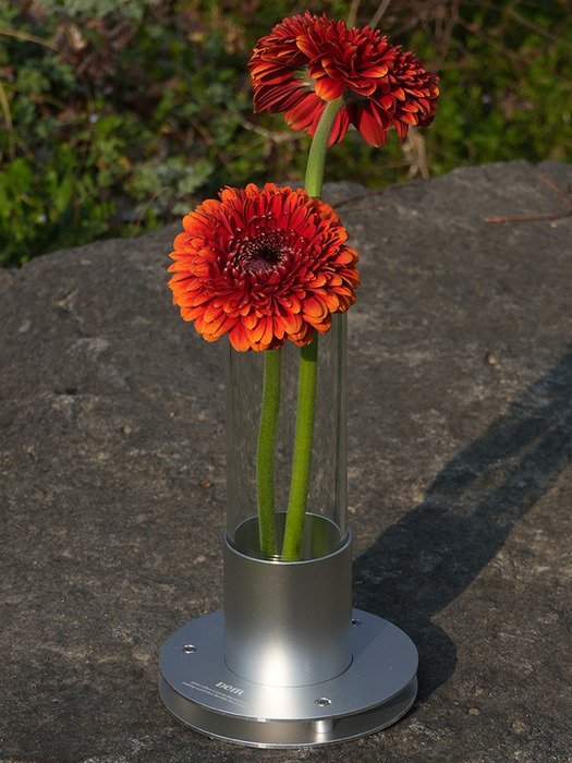 [데누]Duoringo Vase(오브제+글라스)