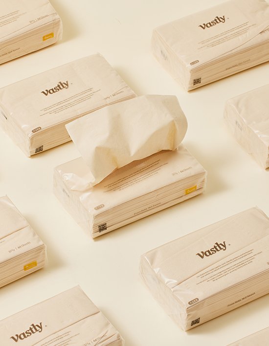 [바스틀리] 먼지적은 3겹 페이셜 밀짚 티슈 66매 (1팩)