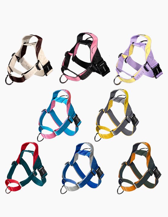 [분독] 0109마틴게일 하네스 앞고리겸용