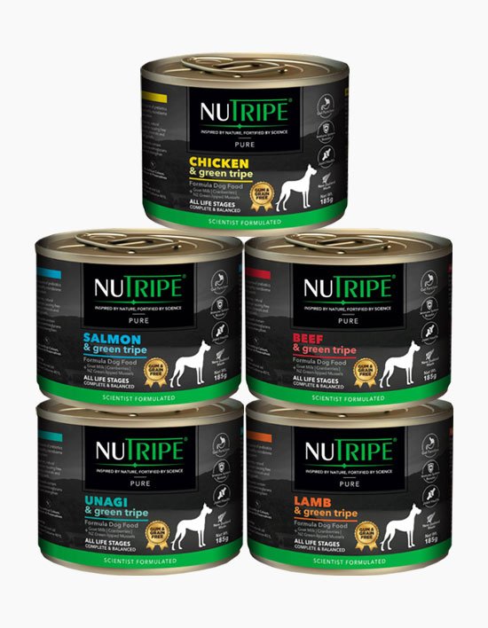 [뉴트라이프] 퓨어 도그 뉴질랜드 주식캔 4종