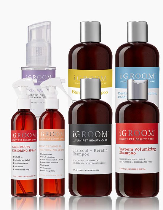 [아이그룸] 디셰딩 디탱글링샴푸 300ml 볼륨업 엉킹방지 강아지샴푸