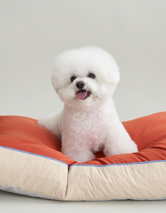 [보웰] 뜯김없는 알러지케어 강아지방석 애견방석 8종 (택1)