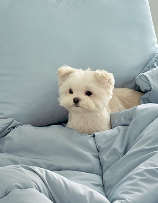 [아망떼] (리뷰이벤트) 알러지케어 드림웰 차렵이불세트 42종 (택1)