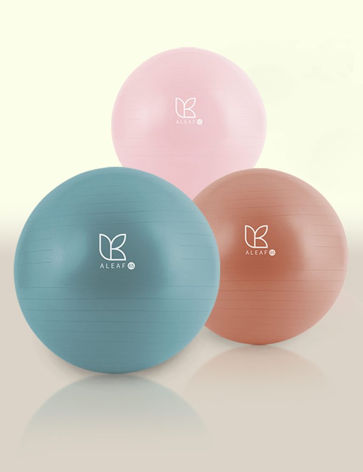 [아리프] 안티버스트 짐볼 65cm (손펌프 포함) 2종 (택1)