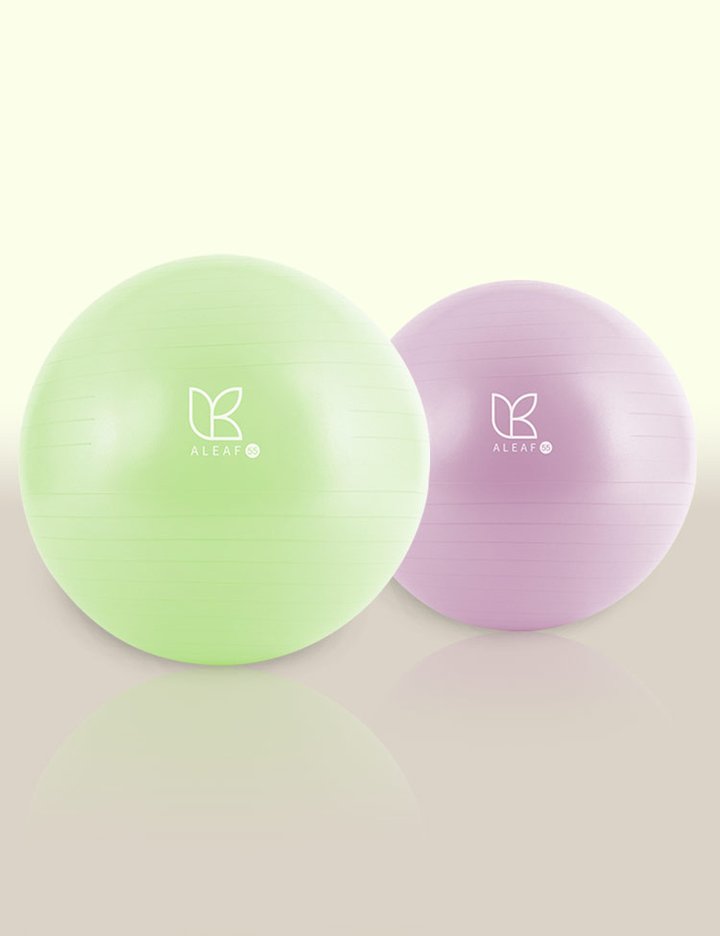 [아리프] 안티버스트 짐볼 55cm (손펌프 포함) 2종 (택1)