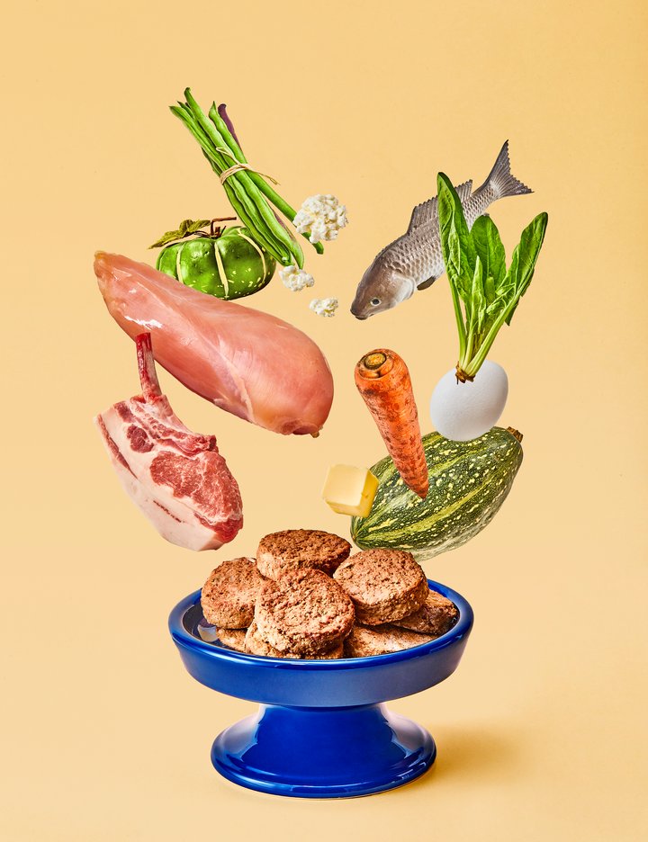 [앤서스펫푸드] 발효 화식 포크디테일드 포뮬러 돼지맛