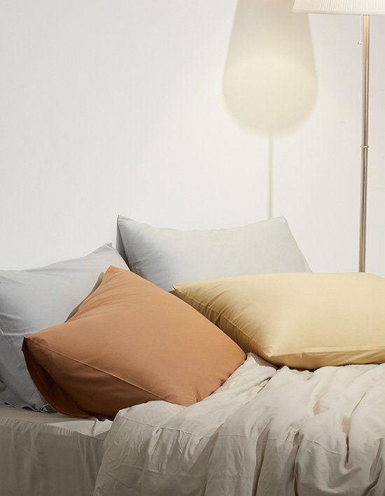 [와이잭] 1+1 U_엑스피나 코튼 프리미엄 필로우 커버 6종 (택1)