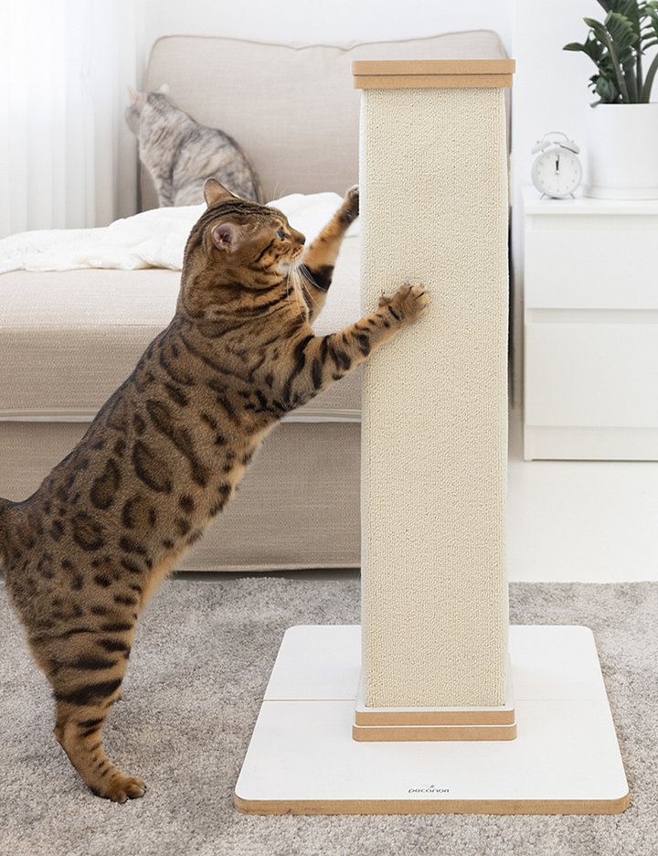 [로아벨 피카노리] 고양이 기둥 스크래쳐 캣타워 캣폴 장난감 클래식화이트 PECA3623