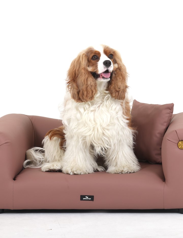 [로아벨 피카노리] 강아지 퍼니 플러스 소파 고양이 침대 애견용품 핑크 PECA5173