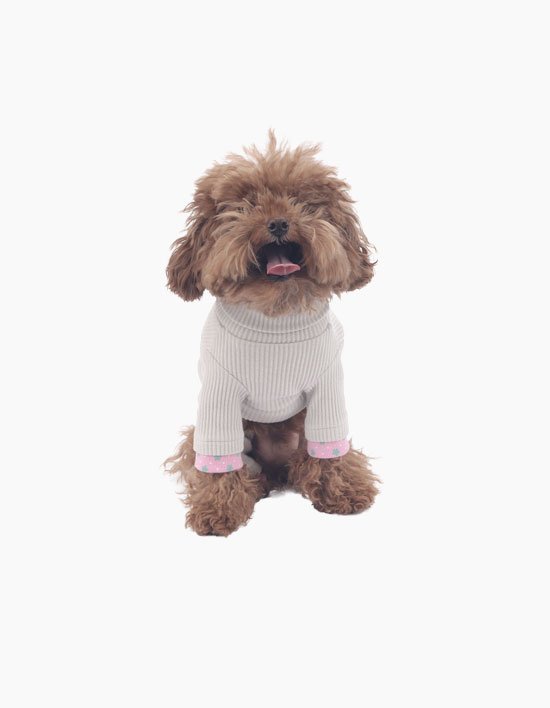 [몽슈슈] 애브리데이 위드 MCC 올인원 4종 (택1)