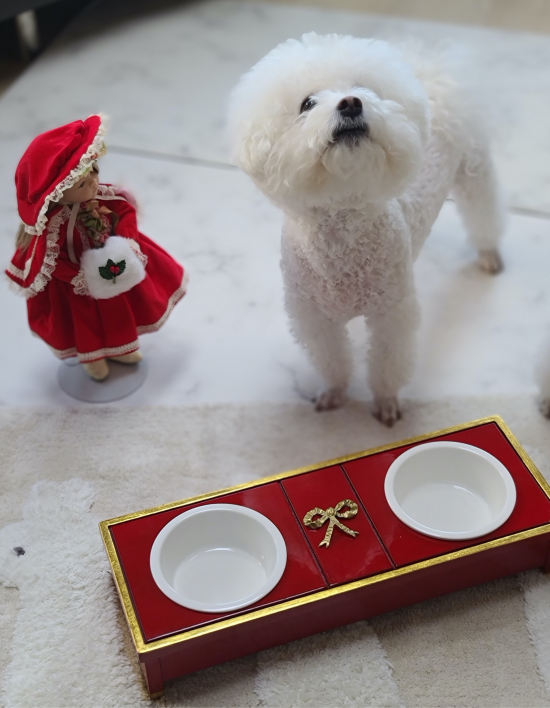 [하즈펫] 리본 모던 레드 애견식기 강아지 고양이 밥그릇