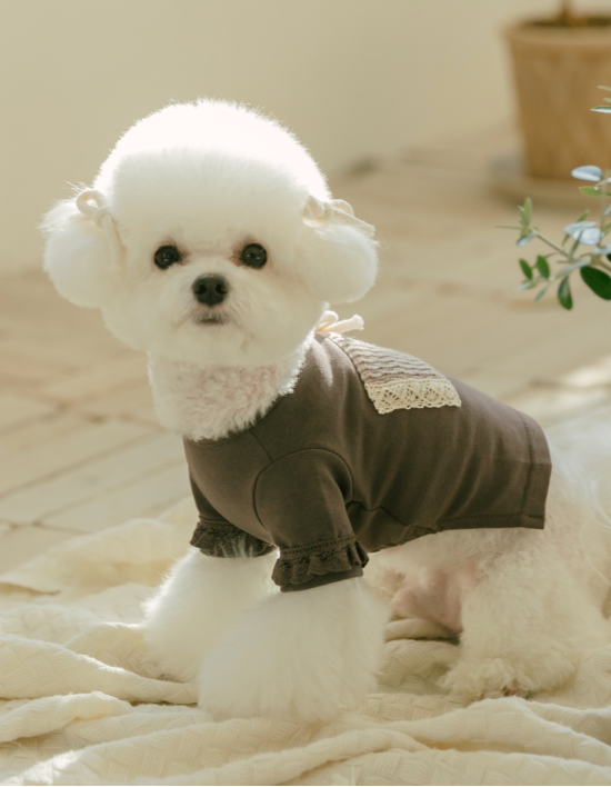 [댕그르르] 코지 스판 강아지 티셔츠 - 브라운  4종 (택1)