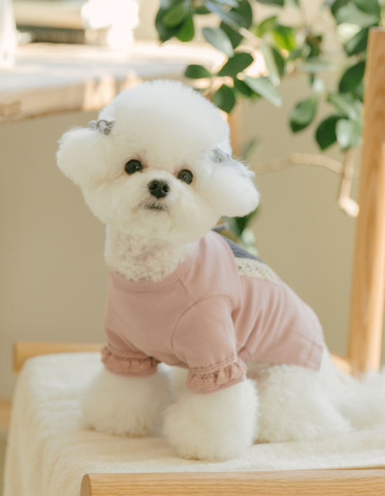 [댕그르르] 코지 스판 강아지 티셔츠 - 핑크 4종 (택1)