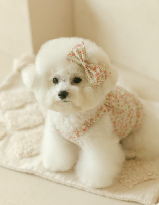 [댕그르르] 플라워 펌킨 탑 강아지 원피스 드레스 - 코랄핑크 4종 (택1)