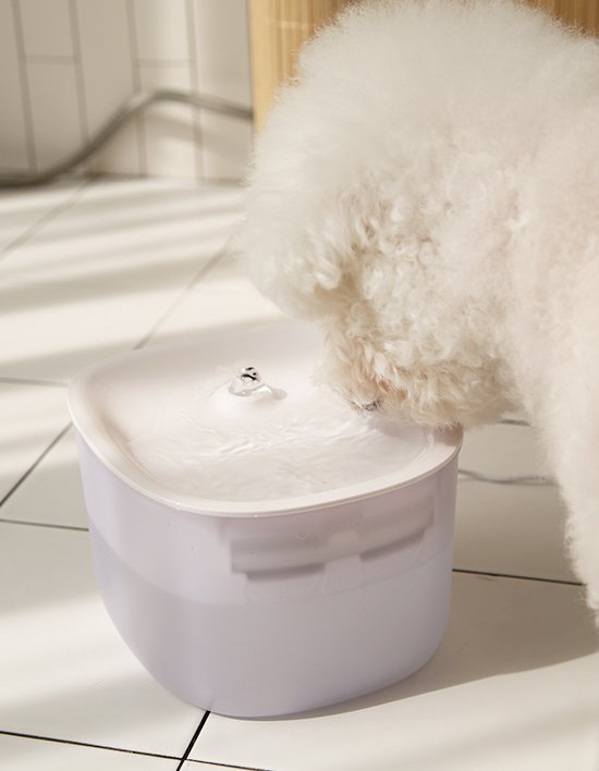 [페페] 무선 UV 살균정수기 CW-100 wireless 고양이 강아지 방광염