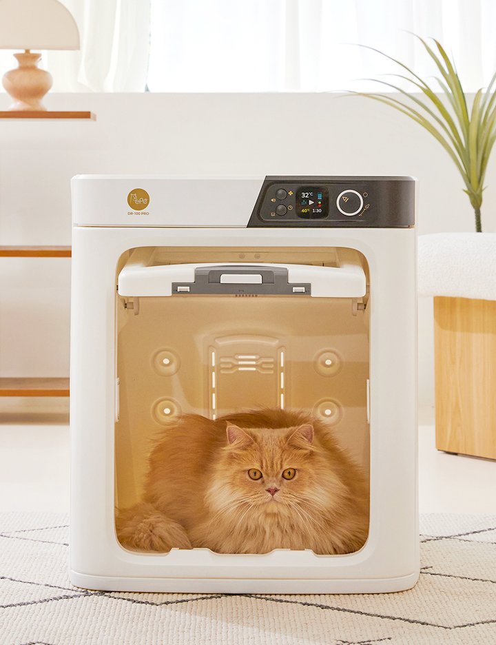 [페페] 업그레이드 소형견용 펫드라이룸 DR-100PRO