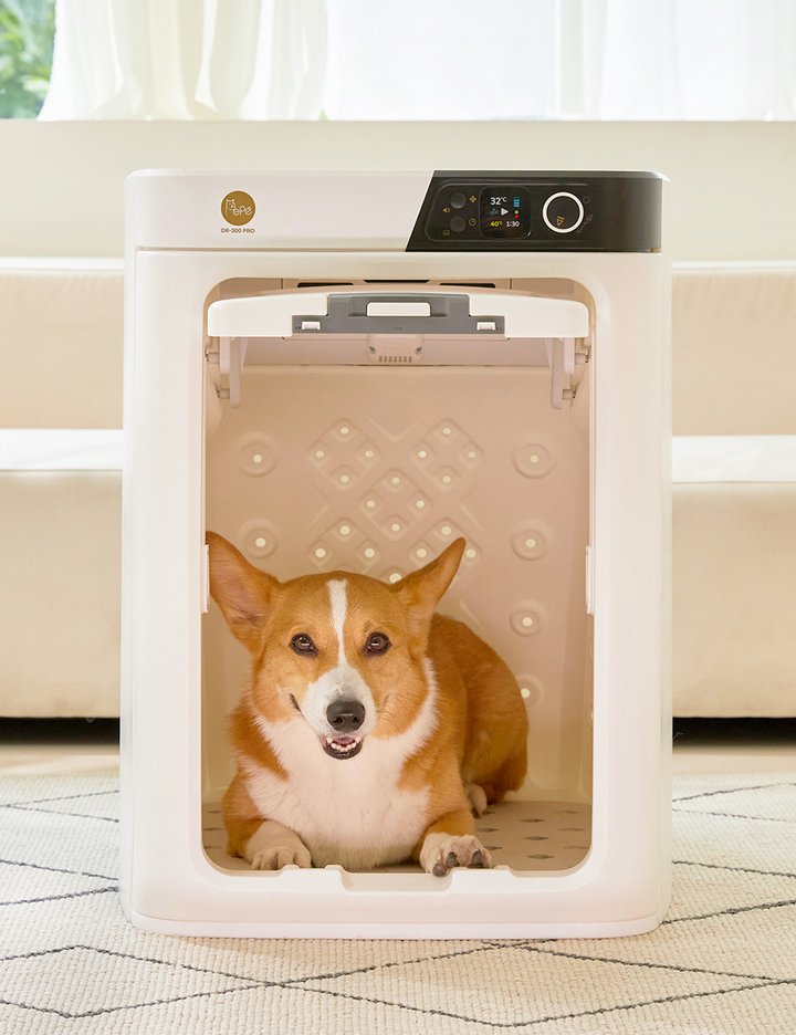 [페페] 업그레이드 중형견용 펫드라이룸 DR-300PRO