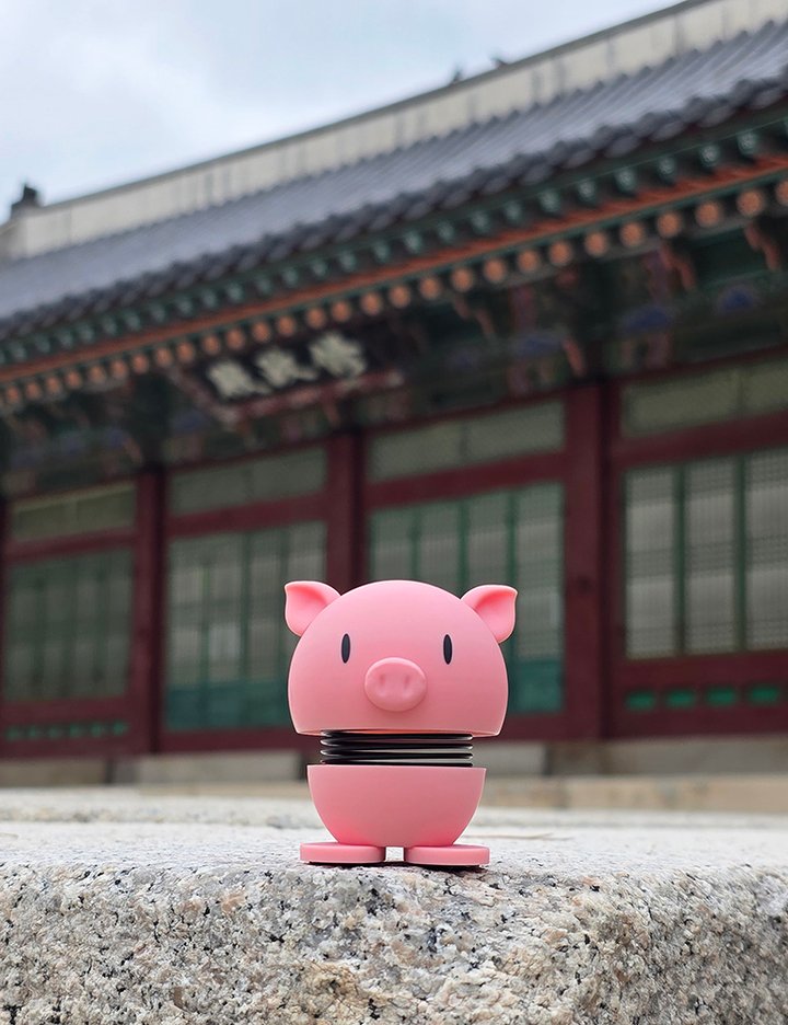 [홉티미스트] 12지신 (돼지띠)