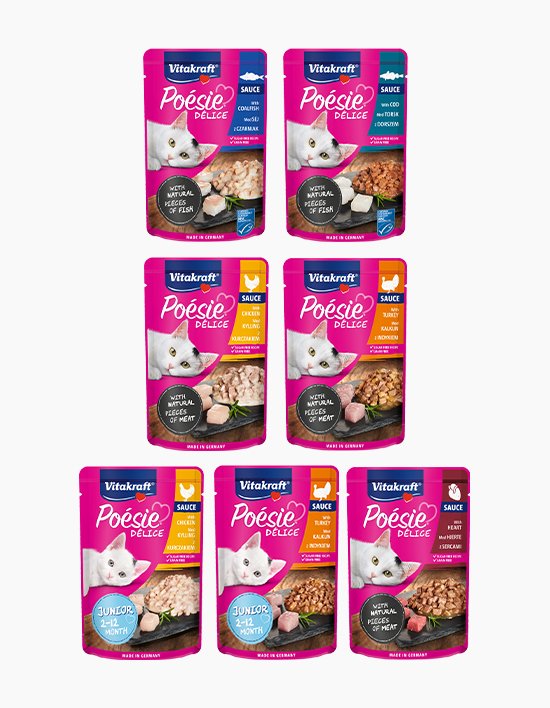 [비타크래프트] 포에시 델리스 고양이 습식사료 85g  23개+23개 7종 택1