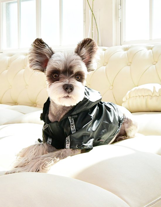 상품-대표-이미지 1