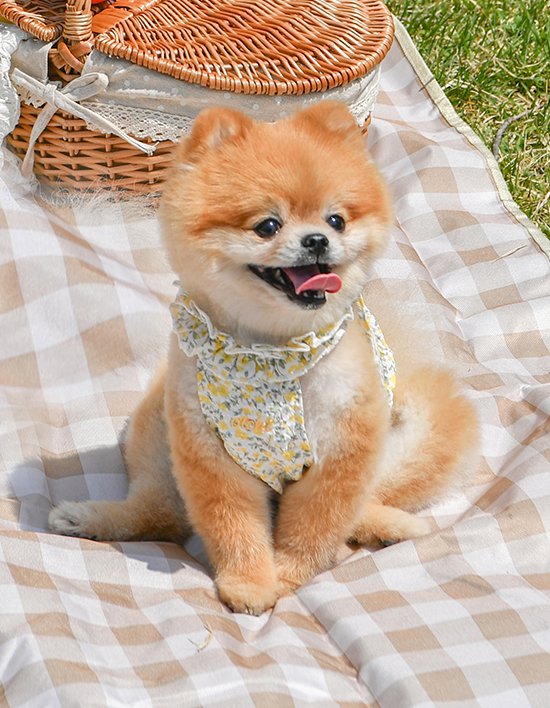 상품-대표-이미지 1