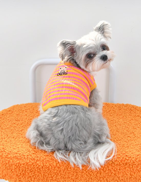 상품-대표-이미지 1