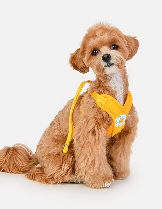 상품-대표-이미지 1