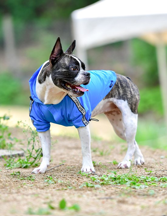 상품-대표-이미지 1