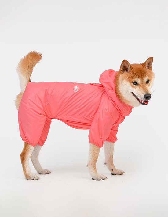 상품-대표-이미지 1