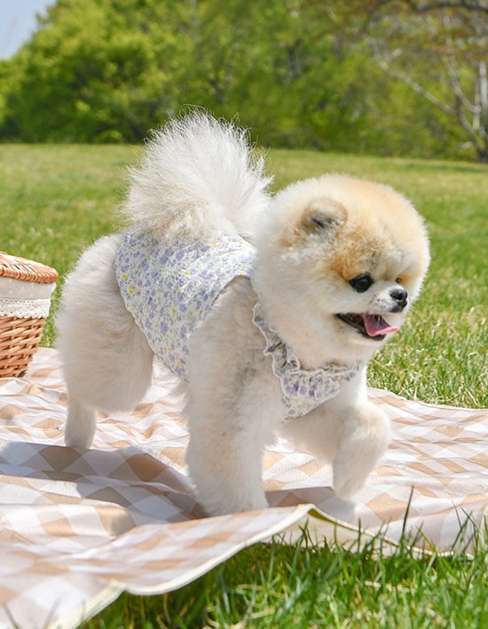 상품-대표-이미지 1