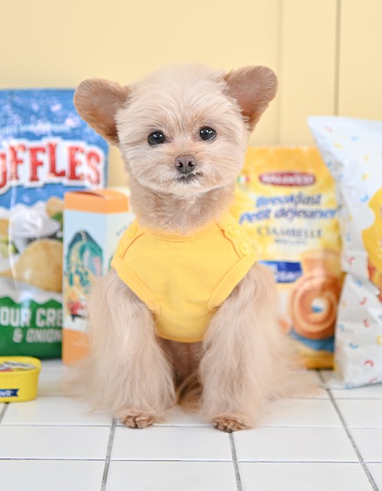 상품-대표-이미지 1