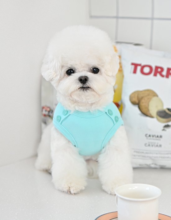 [올치] 버튼 포인트 라운드 티셔츠 2종(택1)