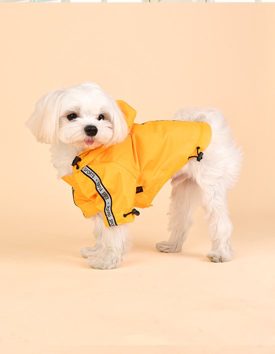 상품-대표-이미지 1