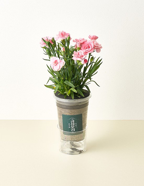 상품-대표-이미지 1