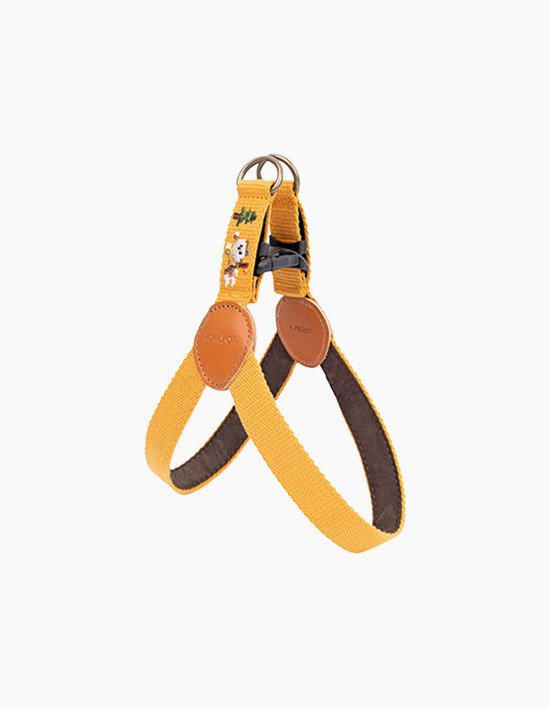 상품-대표-이미지 1