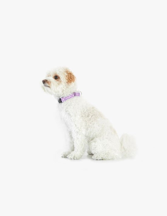 상품-대표-이미지 1