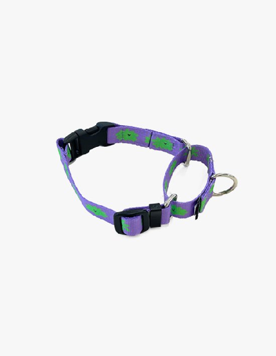 상품-대표-이미지 1