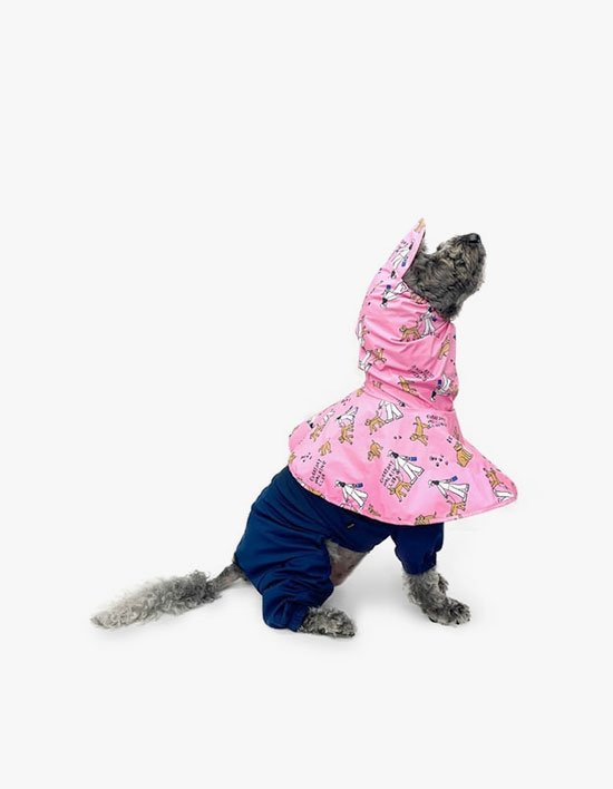 [베럴즈] 베럴즈X에토프 레인수트 2종 (택1)