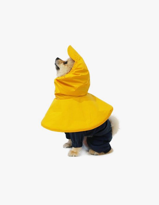 상품-대표-이미지 1