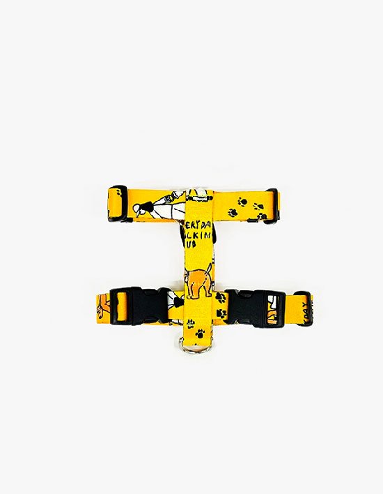 상품-대표-이미지 1