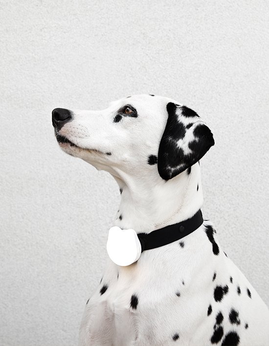 상품-대표-이미지 1