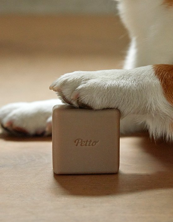 상품-대표-이미지 1